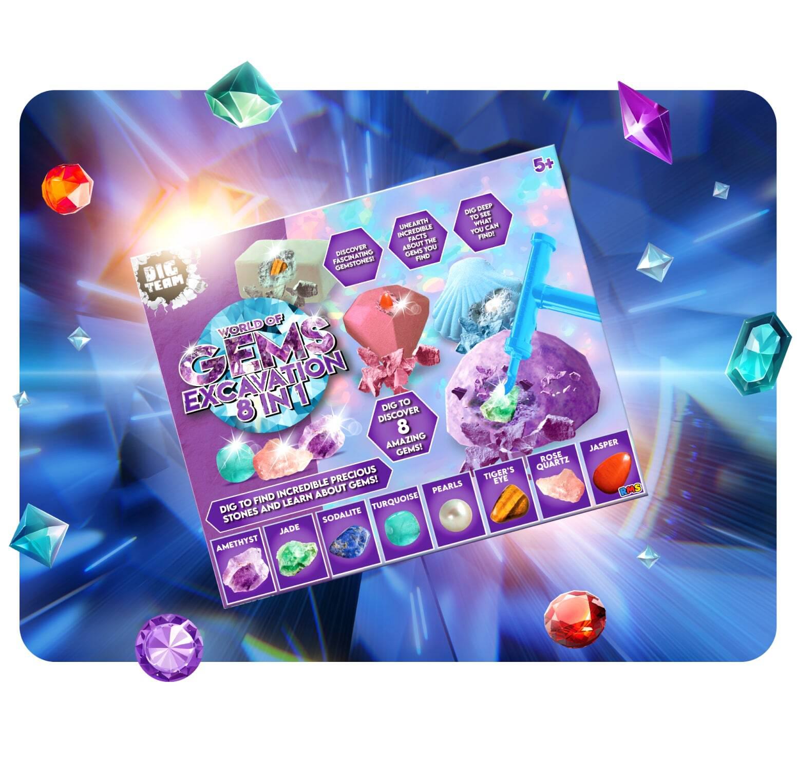 Dig Team | RMS International